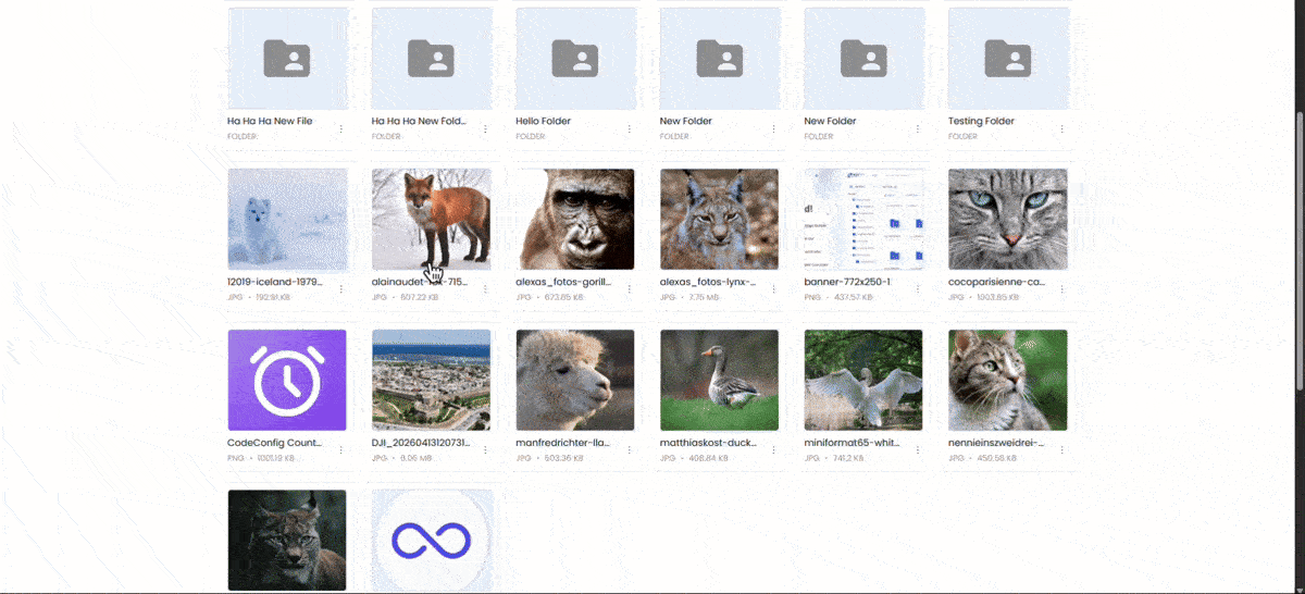 Ninja Drive File Browser Preview