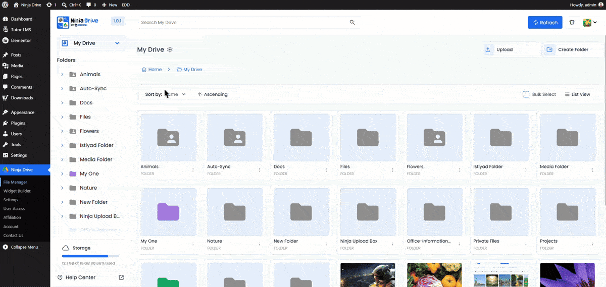 Ninja Drive Go to the Widget Builder