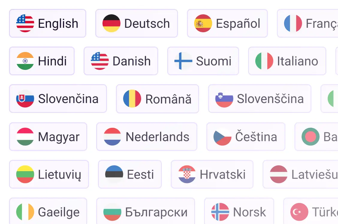 Ninja Accessibility 34+ Language Support