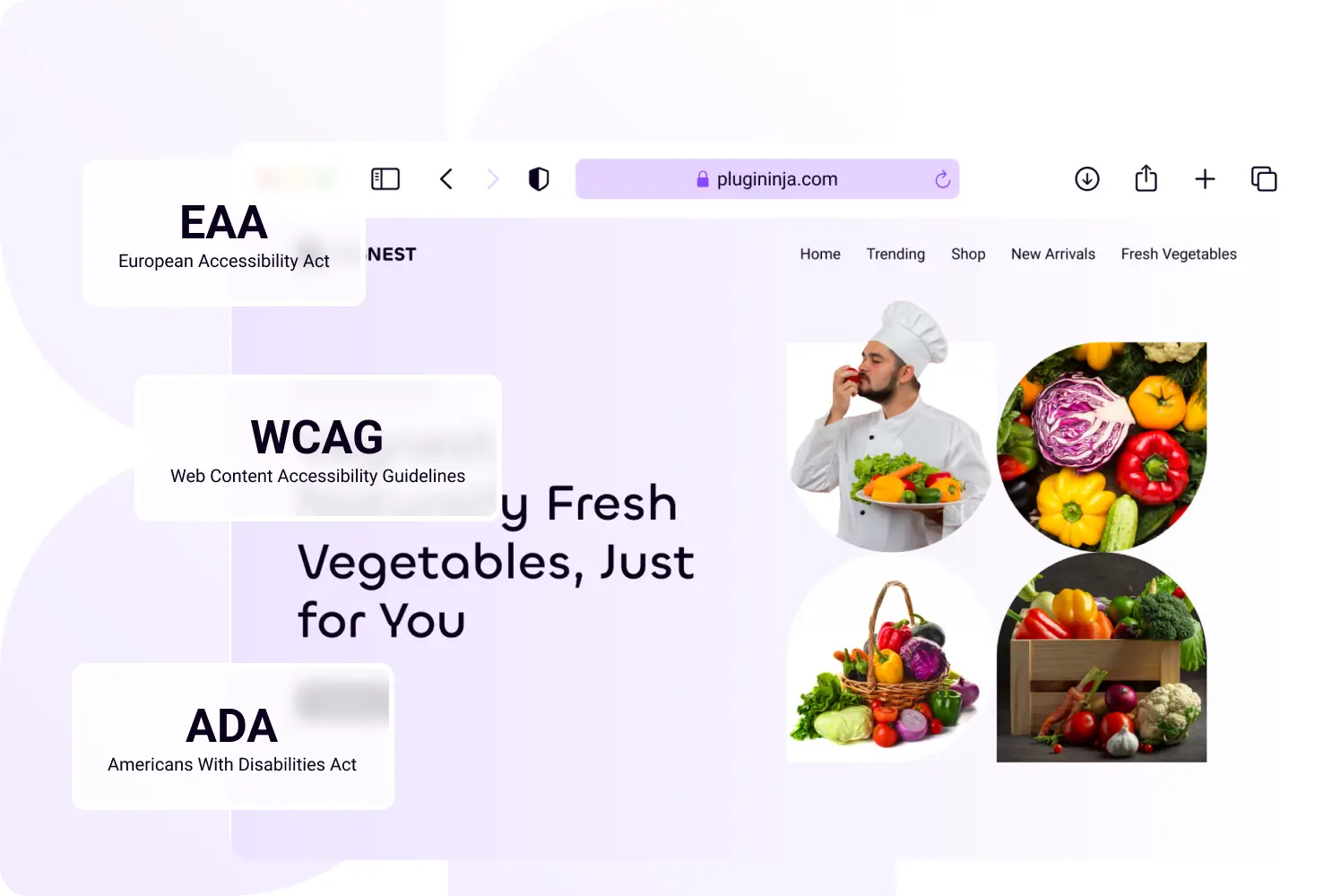 Ninja Accessibility Why Web Accessibility Matters